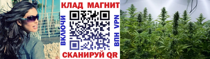 Купить Галлюциногенные грибы  Alpha PVP  ГАШ  Мефедрон  Каннабис  Нерчинск
