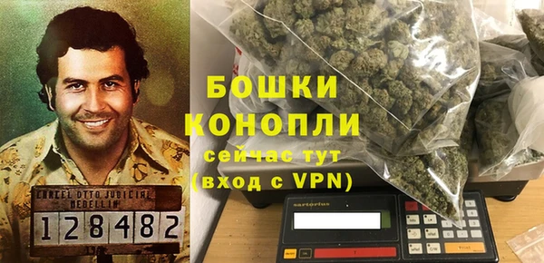 PSILOCYBIN Кодинск